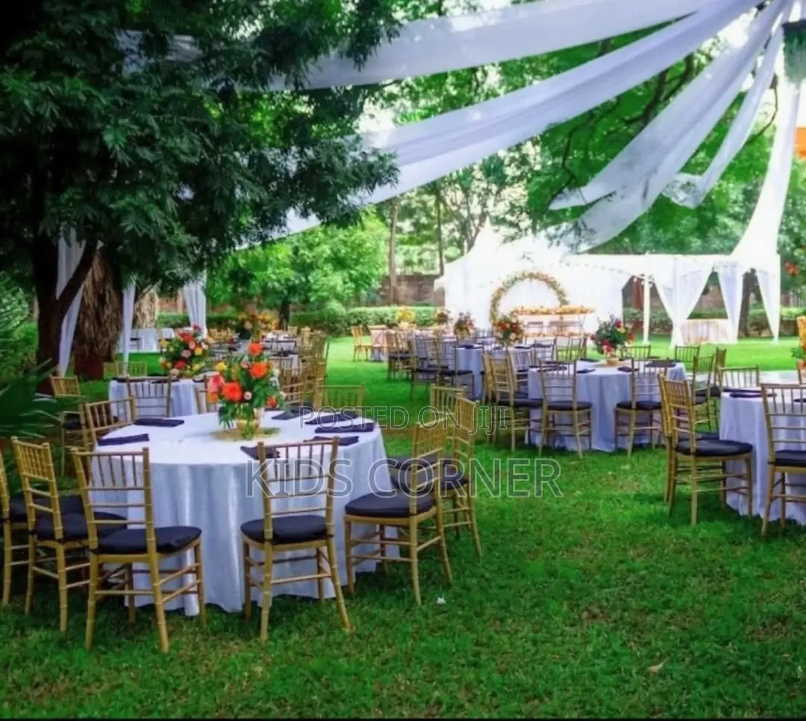 Luxury Chairs for Rent