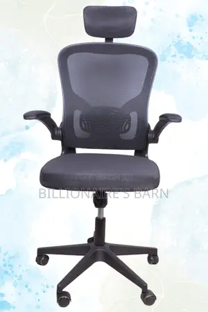 Office Chair: Mebri Back Orthopedic Supporting- Chair Gray