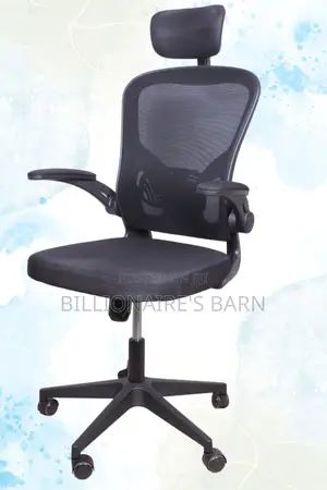 Office Chair: Mebri Back Orthopedic Supporting- Chair Gray