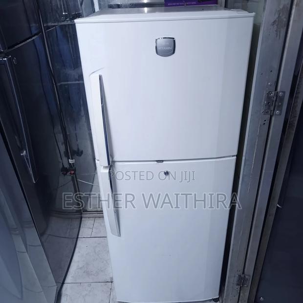 Lg Vitamin Free Standing Fridge