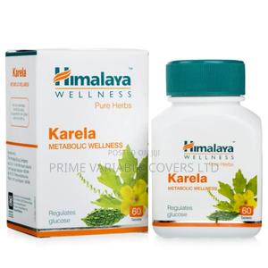 Karela–Healthy Functioning of the Liver Digestive Functions - main view