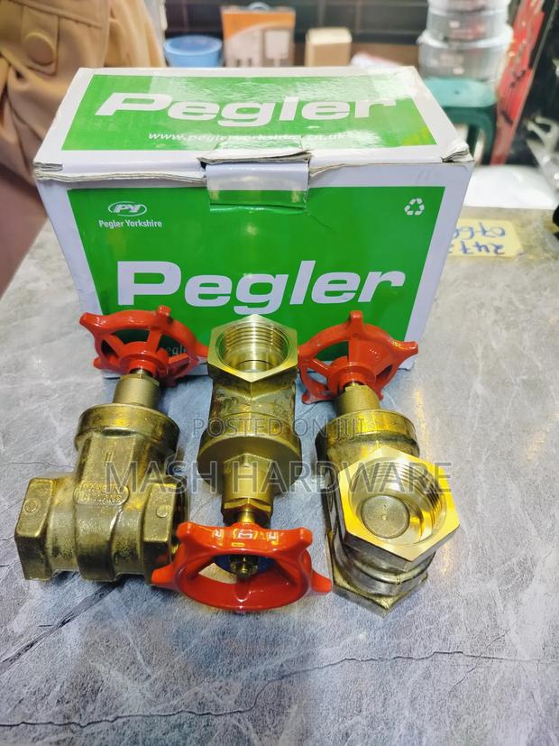 1" Pegler Gate Valve
