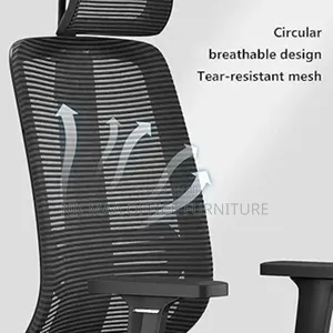 Executive Office Chair: Zenpro Mesh Executive Chair
