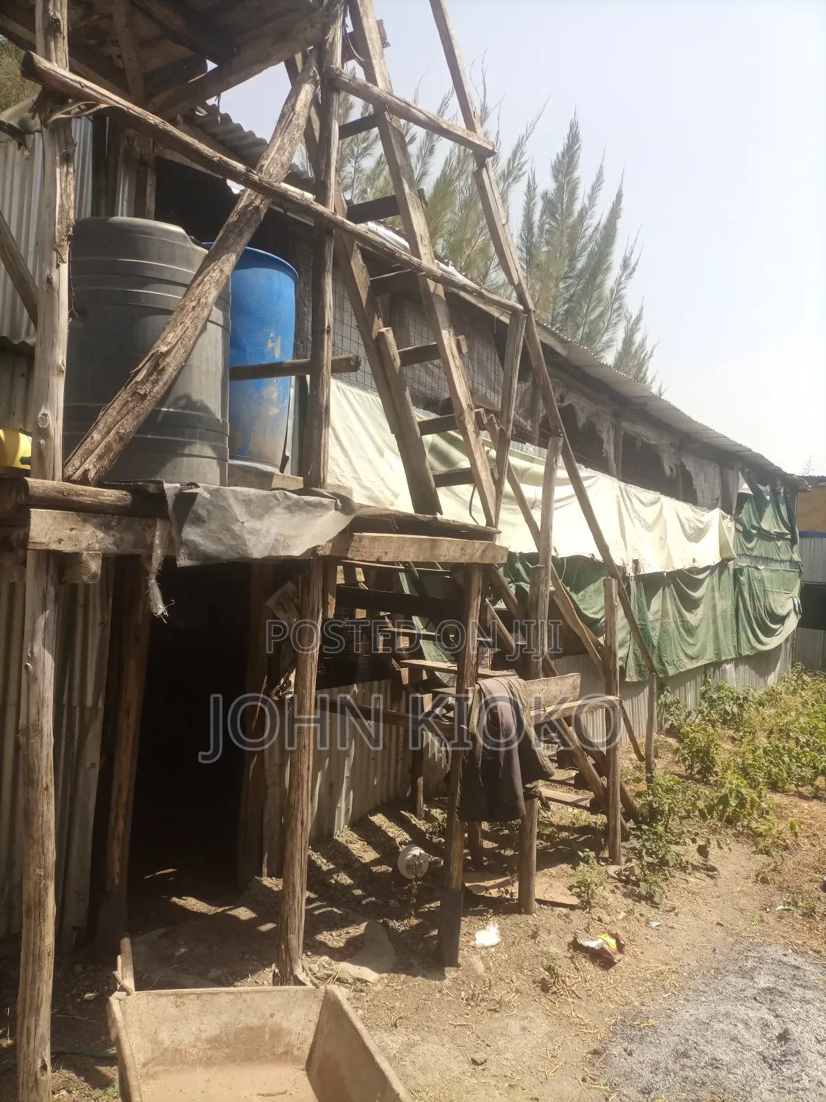 Chicken House on Lease