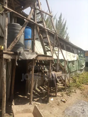 Chicken House on Lease