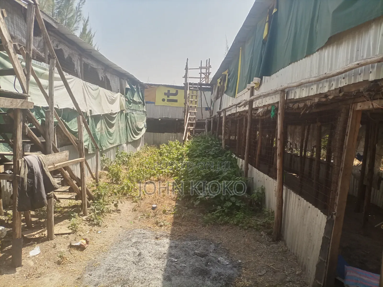 Chicken House on Lease