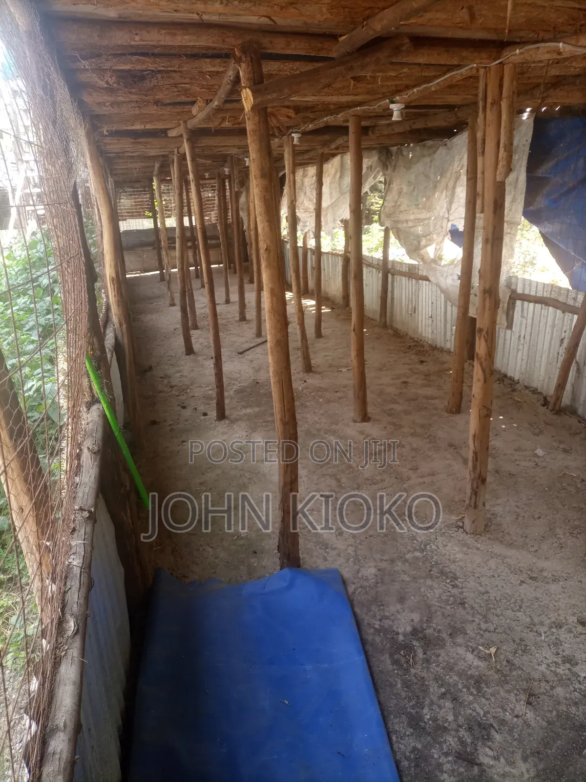 Chicken House on Lease