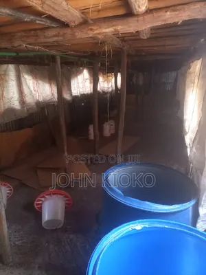 Chicken House on Lease