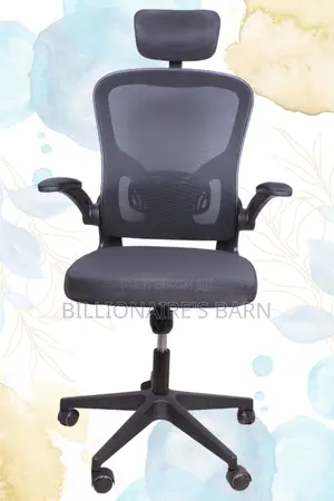 Office Chairs: Office Mesh High Back Ergonomic Posture Chair