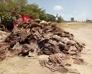 Makuti, Sisal Poles and Pokomo Mats Seller