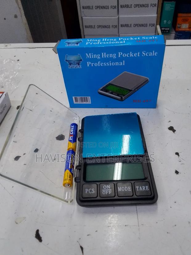 Pocket Scale - main view