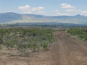 1 Acre Land for Sale - Daiga Nanyuki