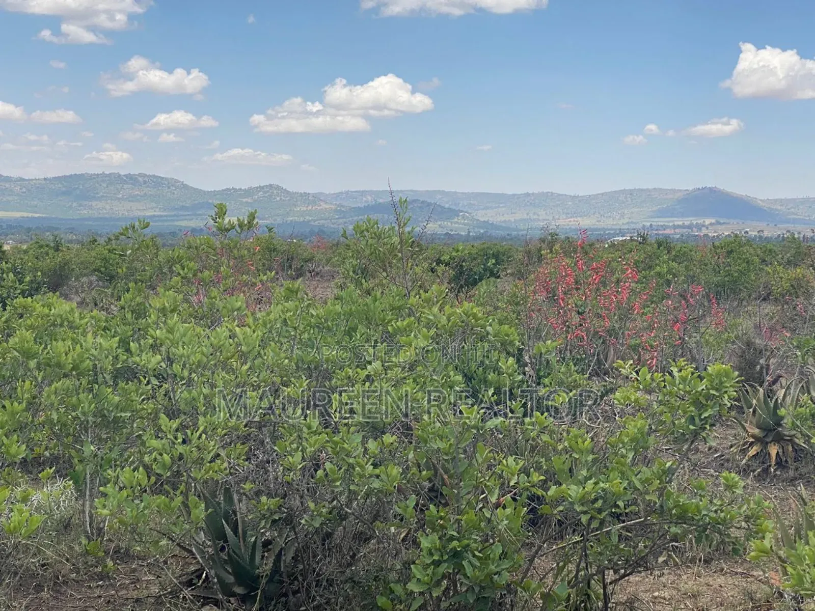 1 Acre Land for Sale - Daiga Nanyuki