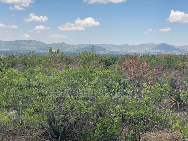 1 Acre Land for Sale - Daiga Nanyuki - thumbnail 2