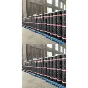 Reinforced App(Atactic Polypropylene) Waterproofing Membrane