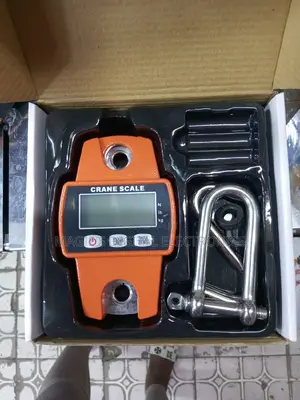 Top Guarantee 300kg Mini Crane Scale