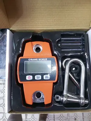 Well Performing 300kg Mini Crane Scale