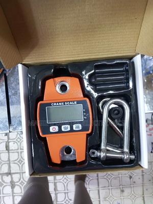 Most Affordable 300kg Mini Crane Scale - thumbnail 2