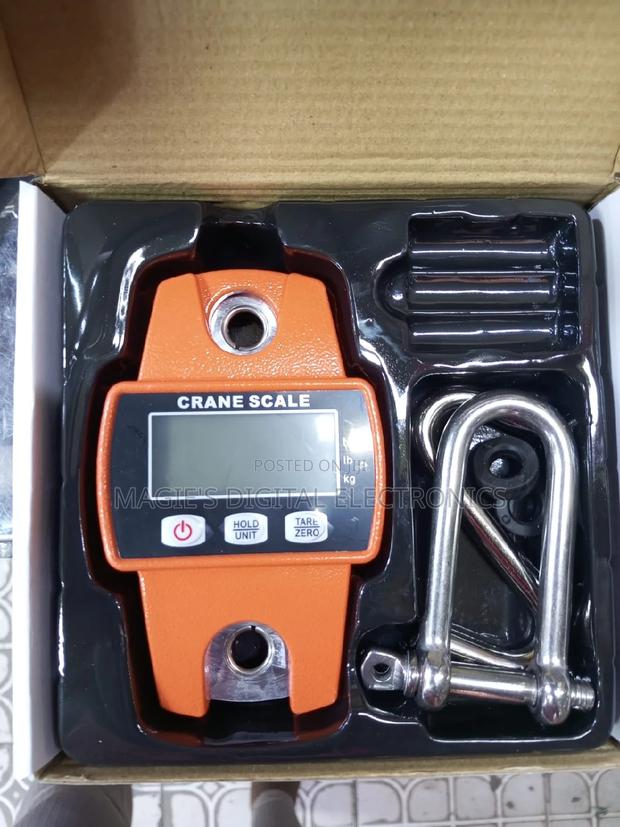 Highly Recommend 300kg Mini Crane Scale