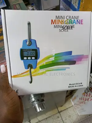 Most Appropriate 300kg Mini Crane Scale