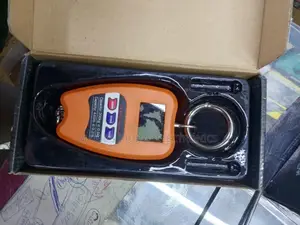 Most Appropriate 200kg Hanging Crane Scale