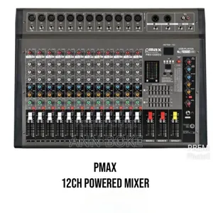 *Pmax 12ch Powered Mixer