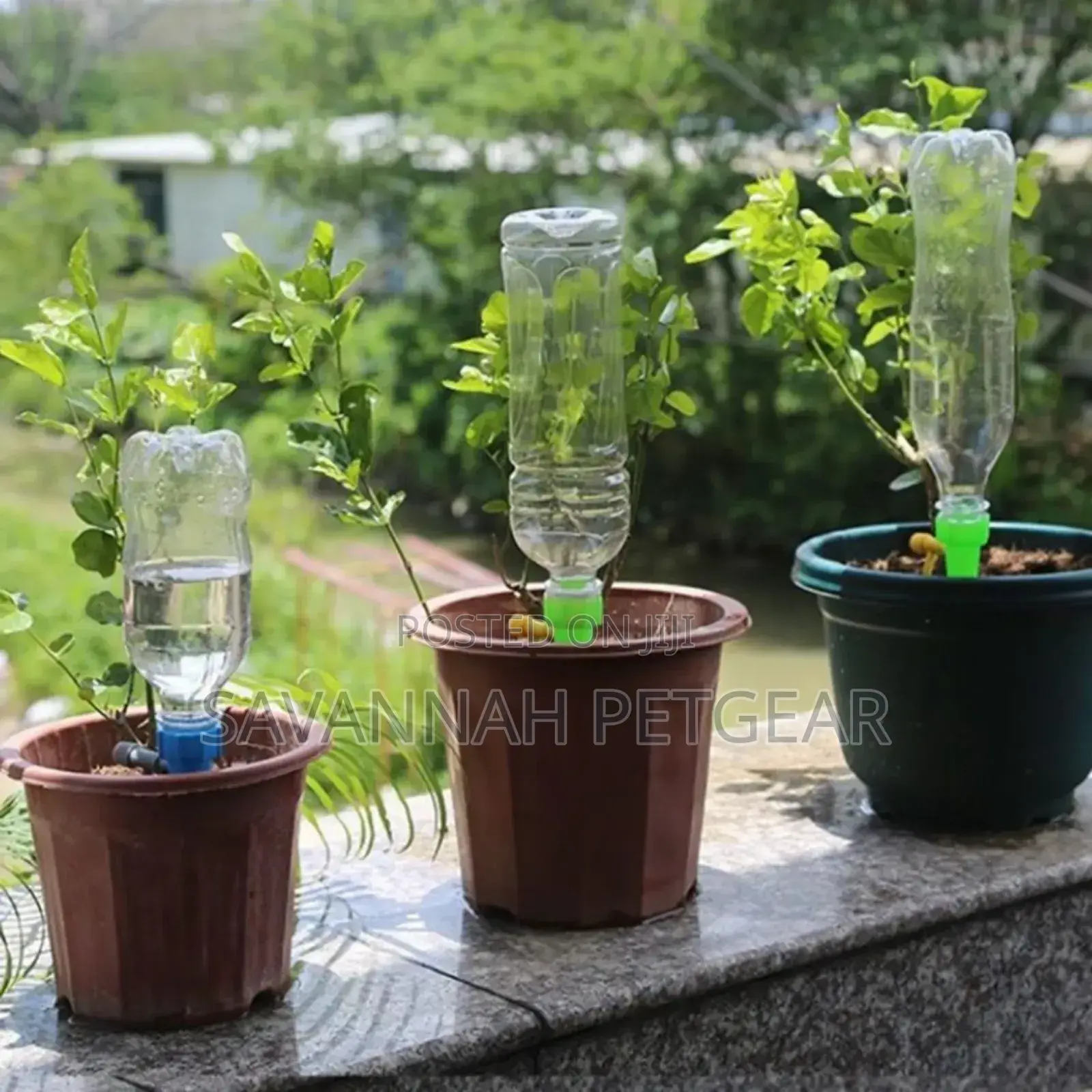 2 Pieces Plastic Plant Self Watering Spike
