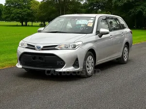 Toyota Corolla Fielder 2018 Silver