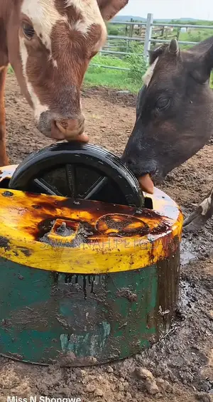 Molasses for Cows Livestock Feeding and Bee Keeping - 10kg