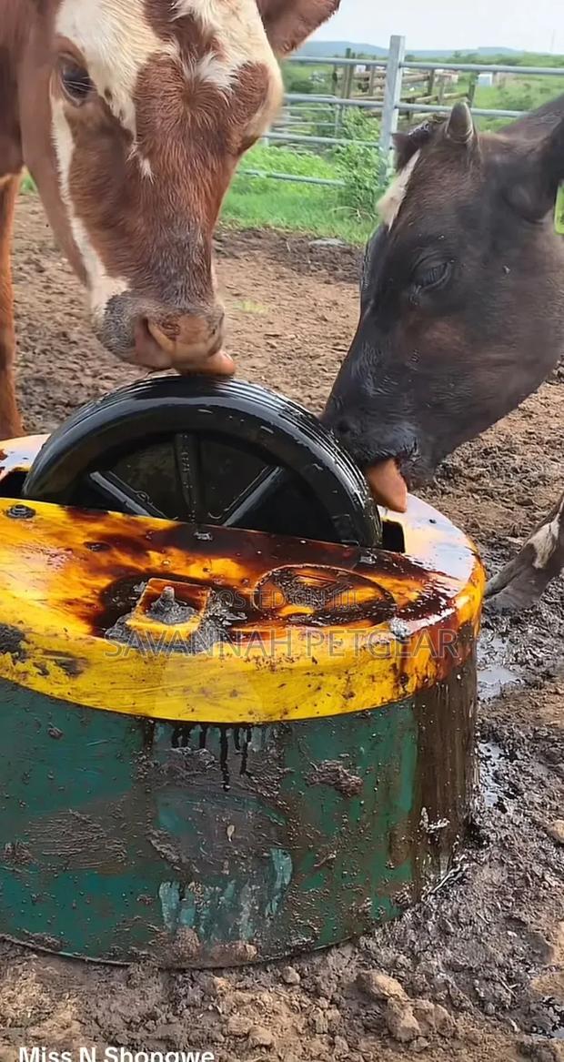Molasses for Cows Livestock Feeding and Bee Keeping - 10kg