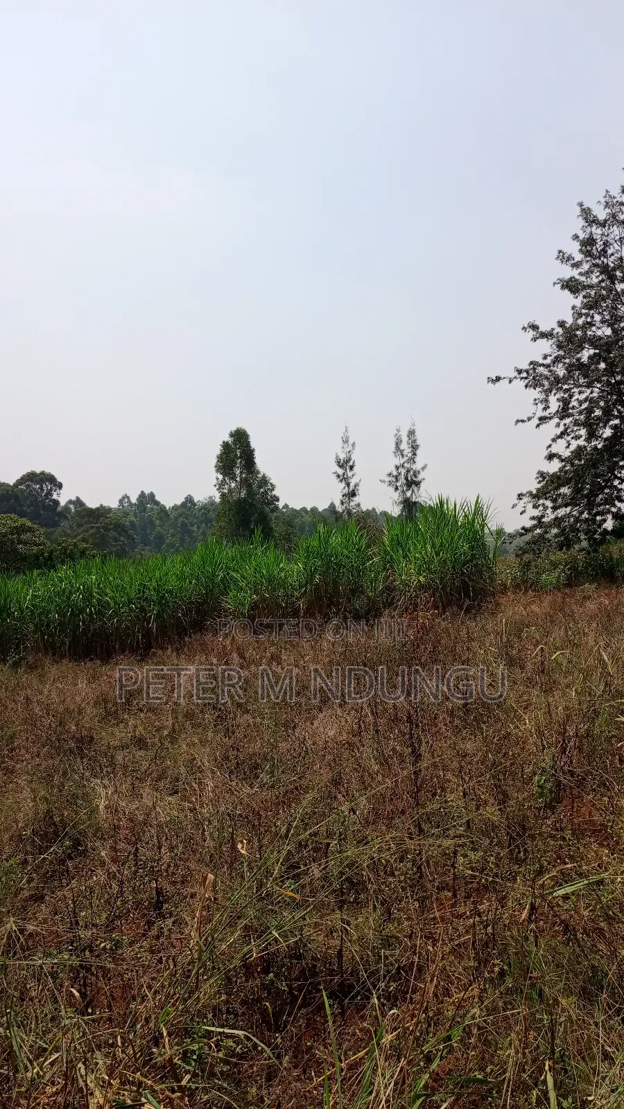 Residential Land on Sale, One Acre, Njathaini Road. Starehe