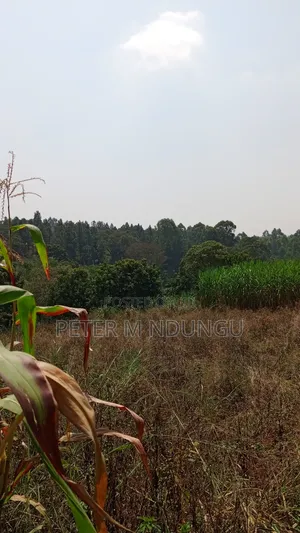 Residential Land on Sale, One Acre, Njathaini Road. Starehe