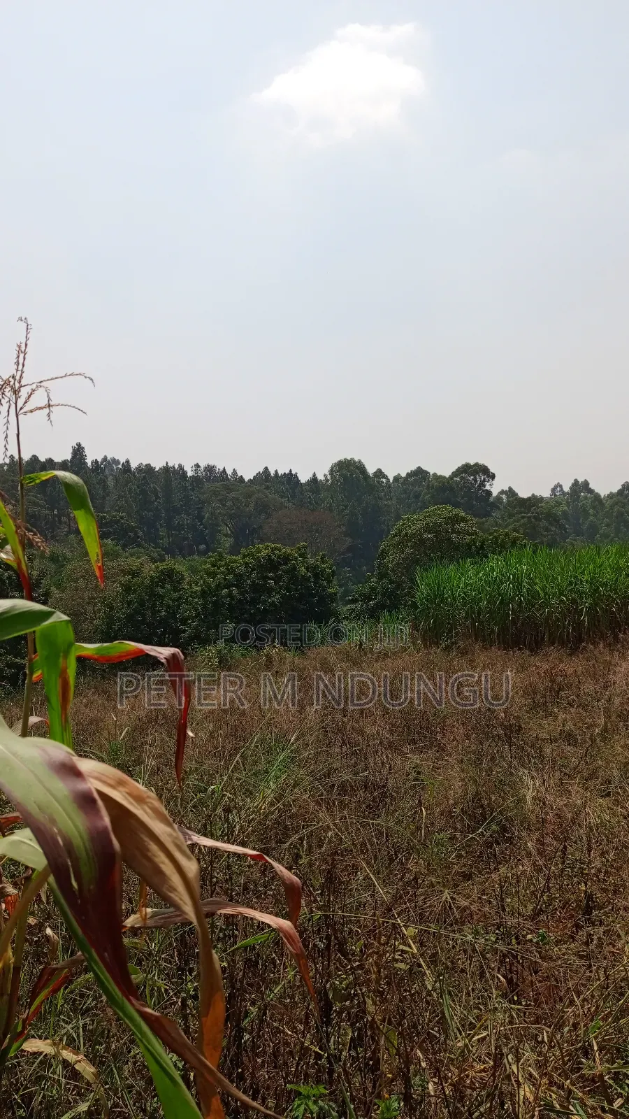 Residential Land on Sale, One Acre, Njathaini Road. Starehe