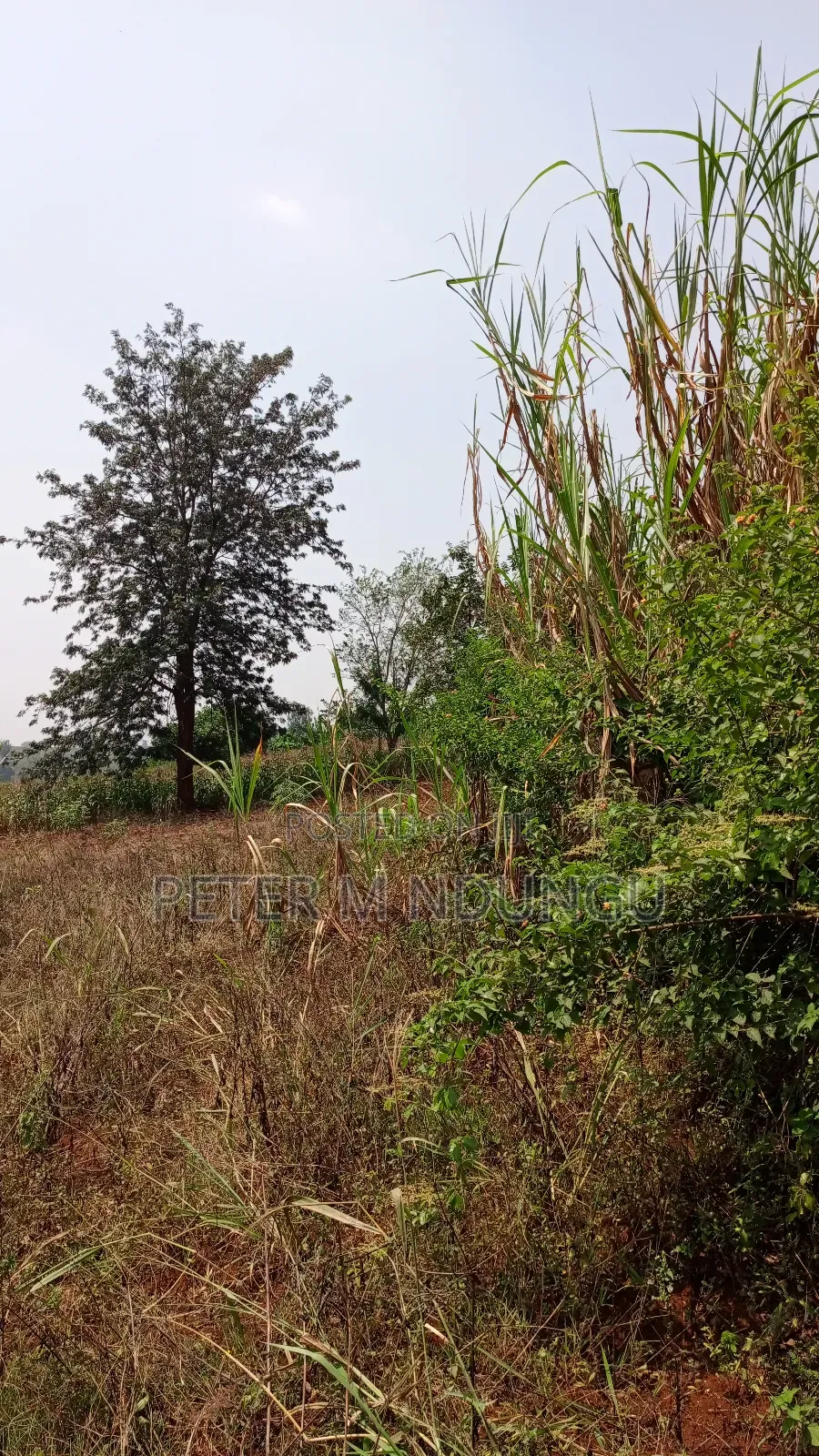 Residential Land on Sale, One Acre, Njathaini Road. Starehe