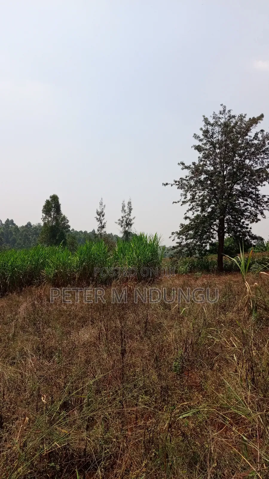 Residential Land on Sale, One Acre, Njathaini Road. Starehe