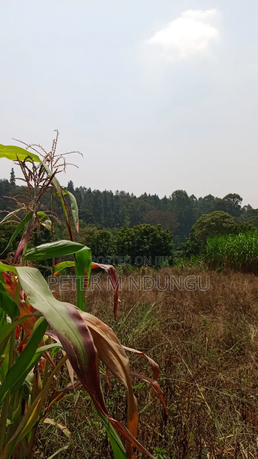 Residential Land on Sale, One Acre, Njathaini Road. Starehe