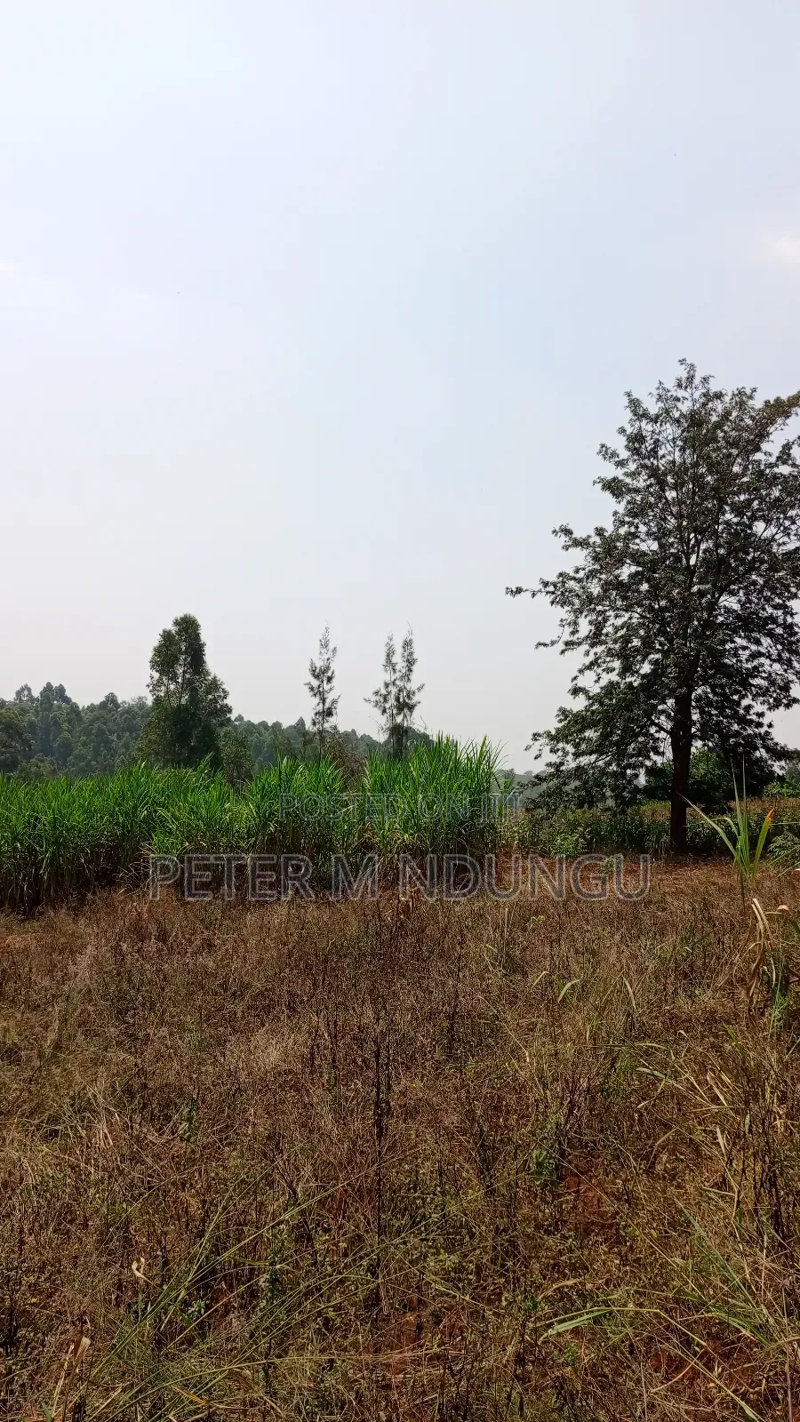 Residential Land on Sale, One Acre, Njathaini Road. Starehe