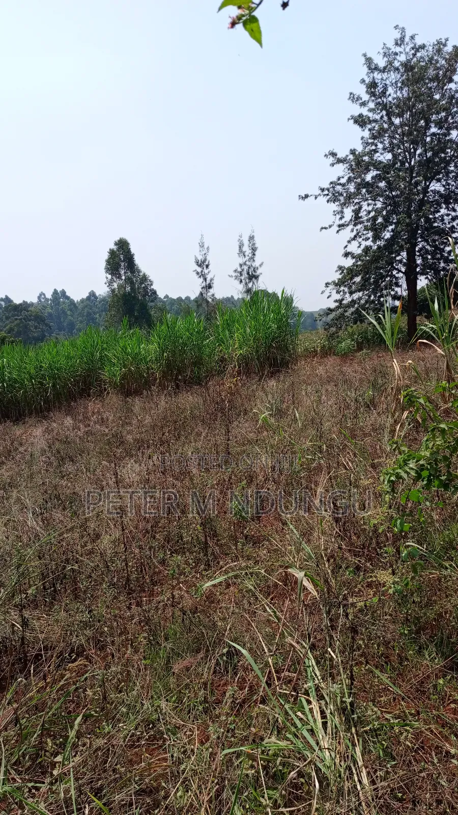 Residential Land on Sale, One Acre, Njathaini Road. Starehe