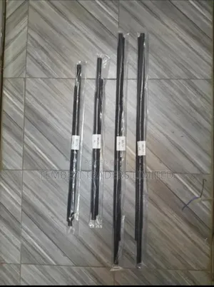 Weather Strips Toyota Belta