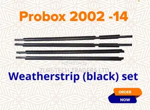 Probox 02-14 Weather Strips Available