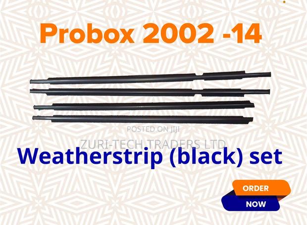 Probox 02-14 Weather Strips Available - main view