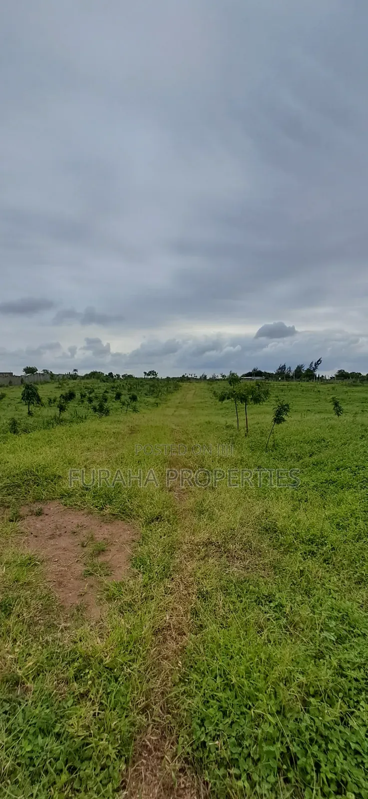 For Sale an Eighth Plot Kikambala