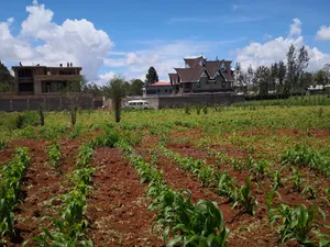 100x100 Plot in Kikuyu Gikambura Kiambu County.