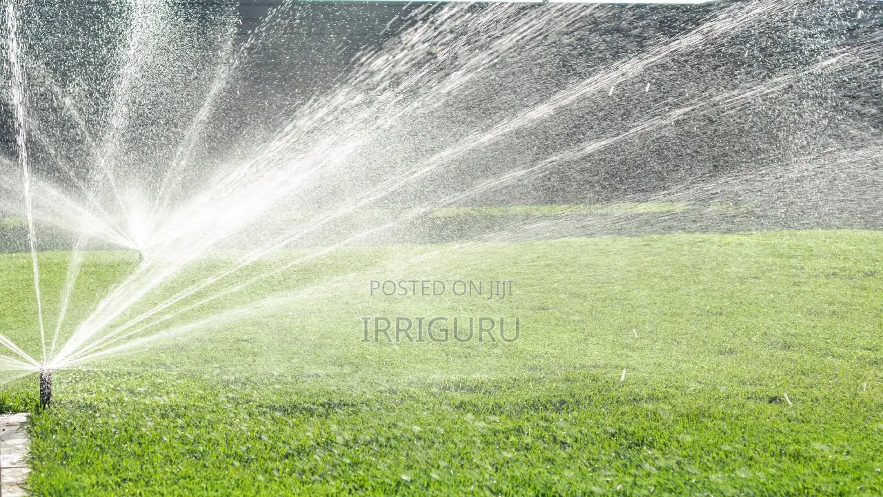 Sprinklers Lawn