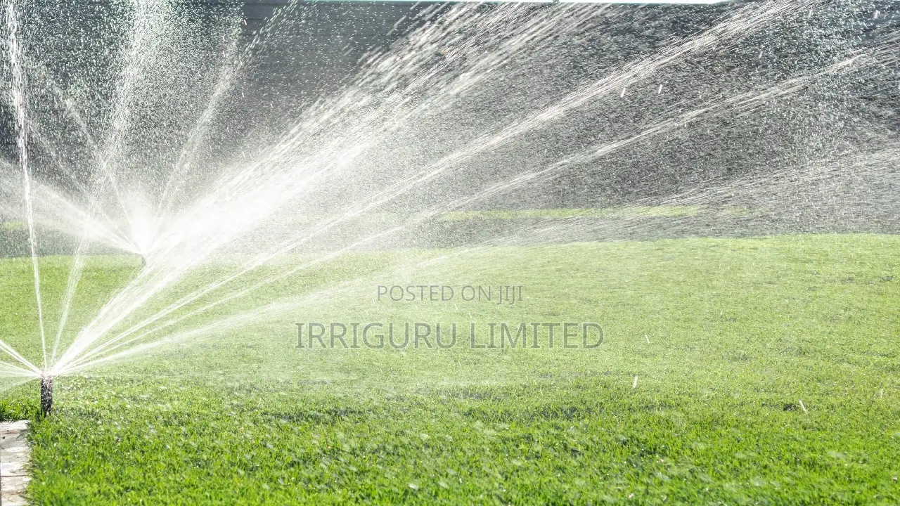 Sprinklers Lawn