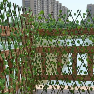 Bamboo Privacy Fence Ever Green No More Watering