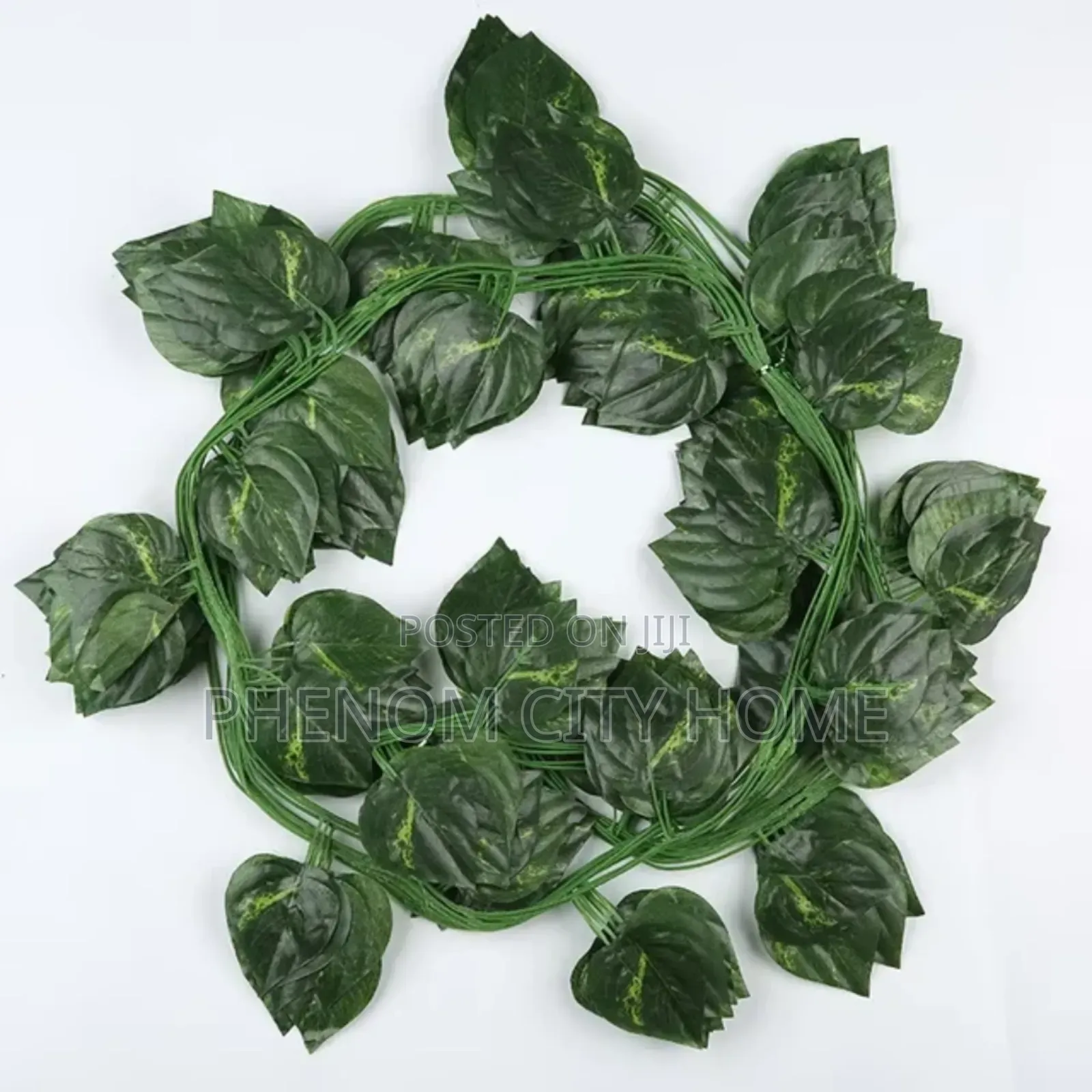 Decorative Green Leaves/Money Plant