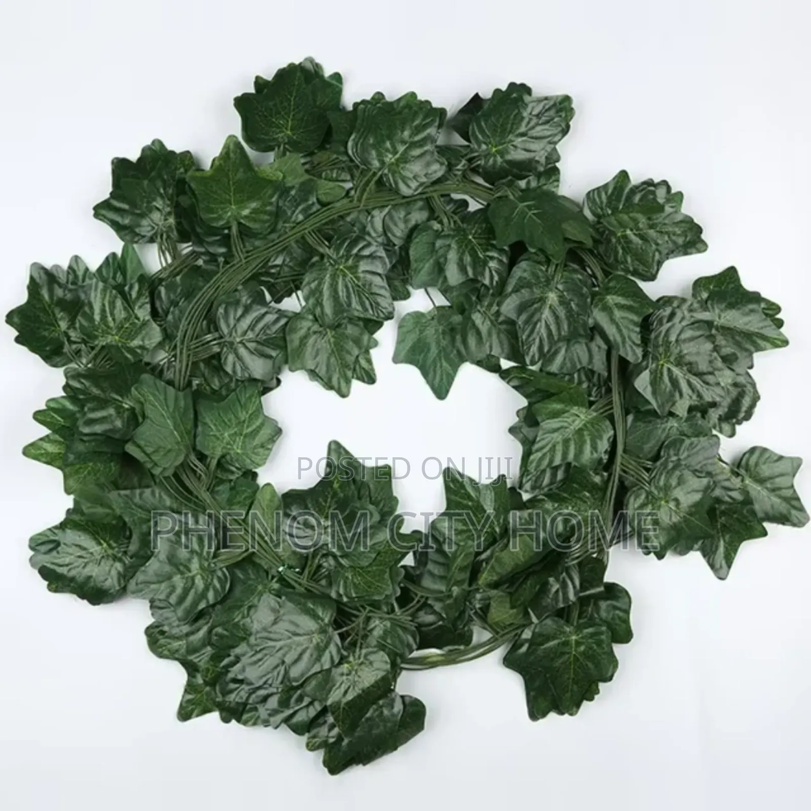 Decorative Green Leaves/Money Plant