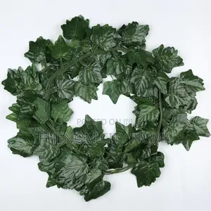 Decorative Green Leaves/Money Plant