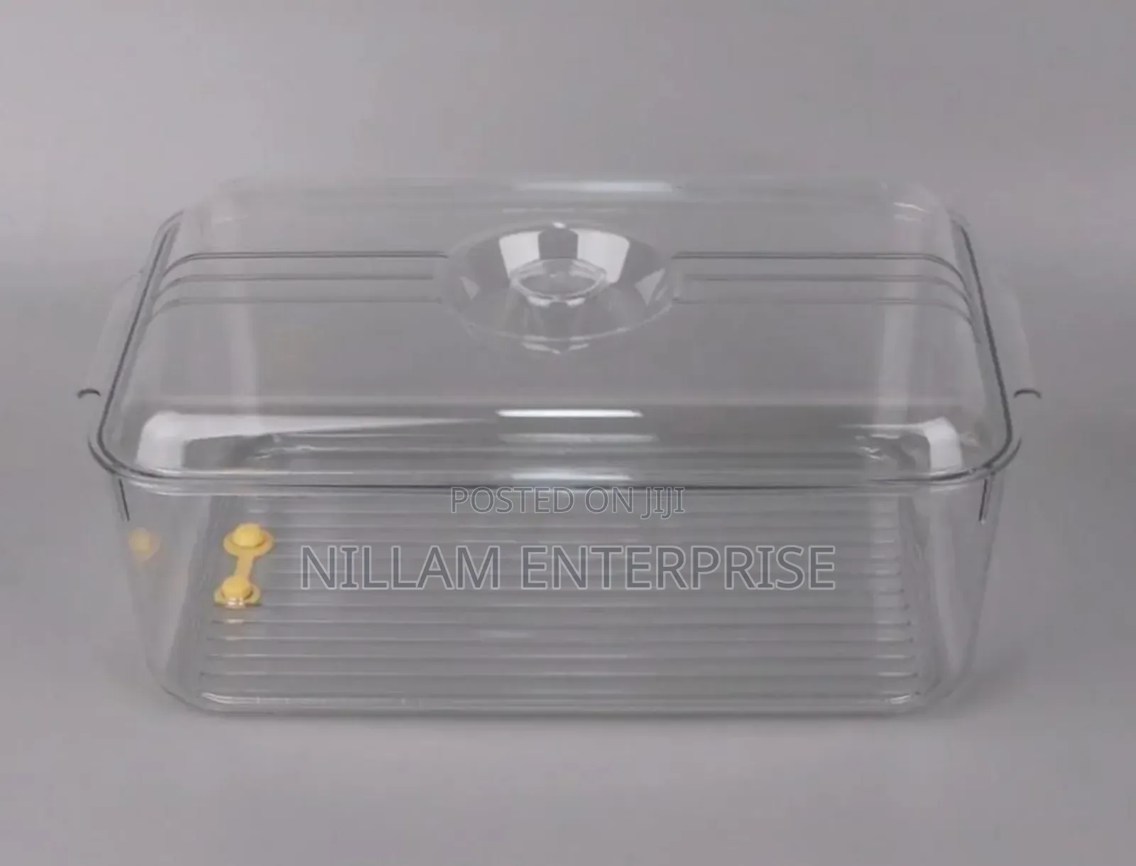 Fridge Storage Container